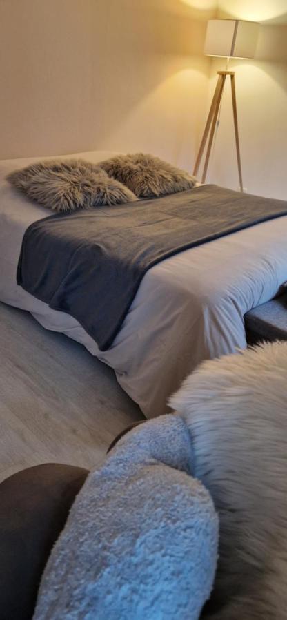 Cosy Appartement Complet Centre-Ville モンベリアル エクステリア 写真
